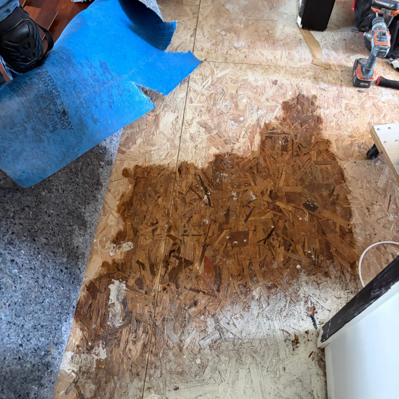 Moisture meter reading on drywall in Westwoods water loss