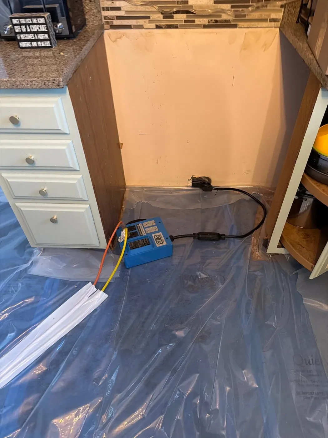 Thermal imaging during water damage assessment in Westwoods residence